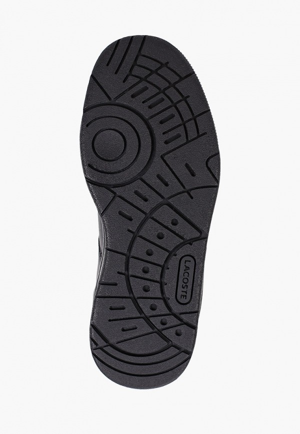 фото Кеды lacoste