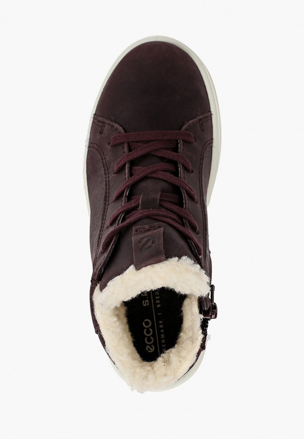 фото Кеды ecco