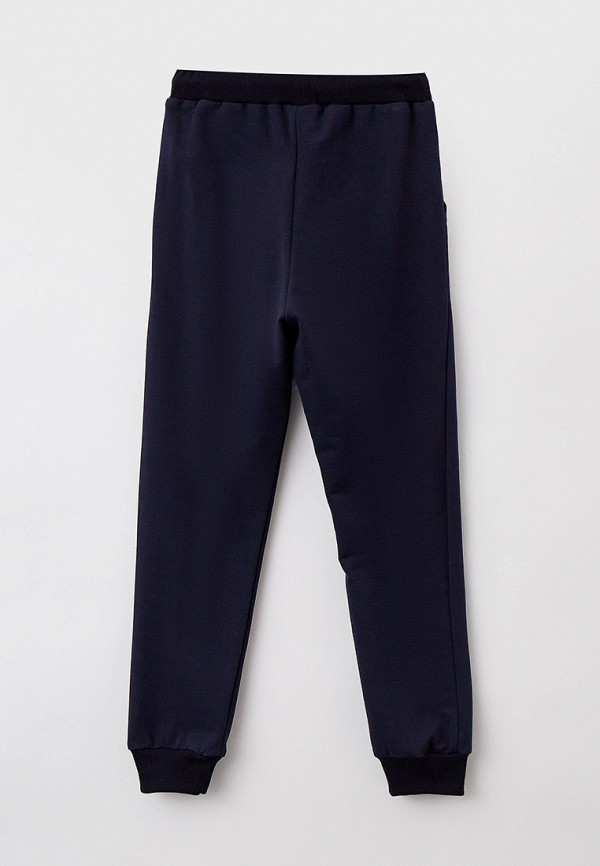 фото Брюки спортивные katasonov