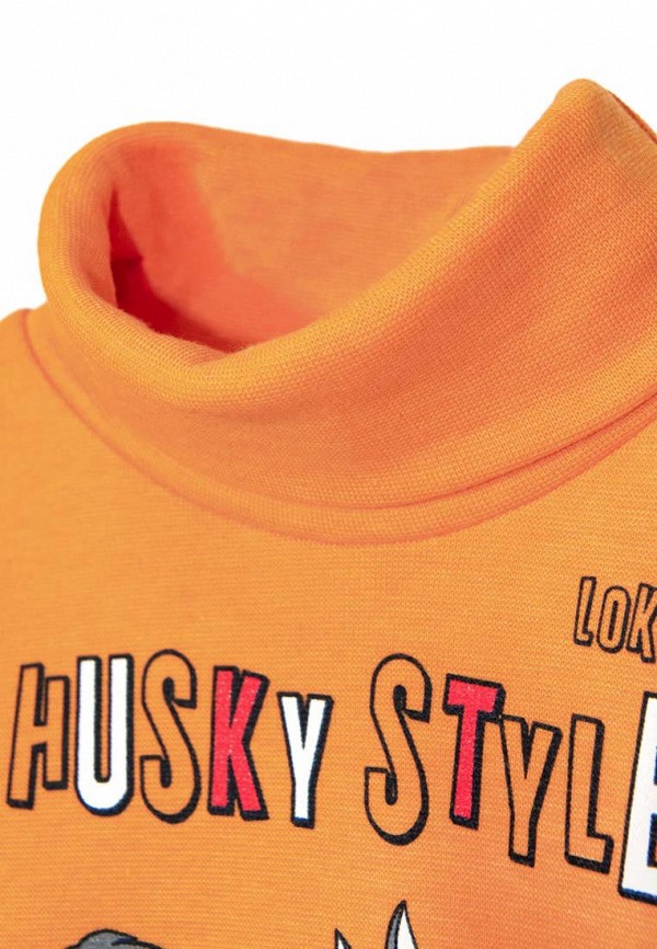 фото Водолазка lokki