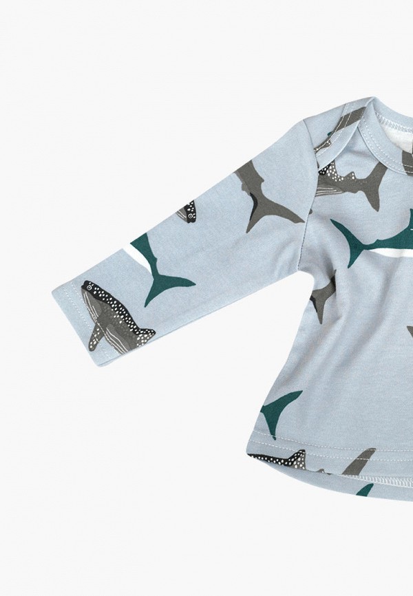 фото Лонгслив mjolk