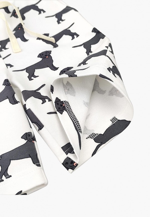 фото Шорты спортивные mjolk