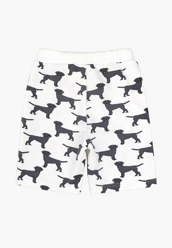 фото Шорты спортивные mjolk