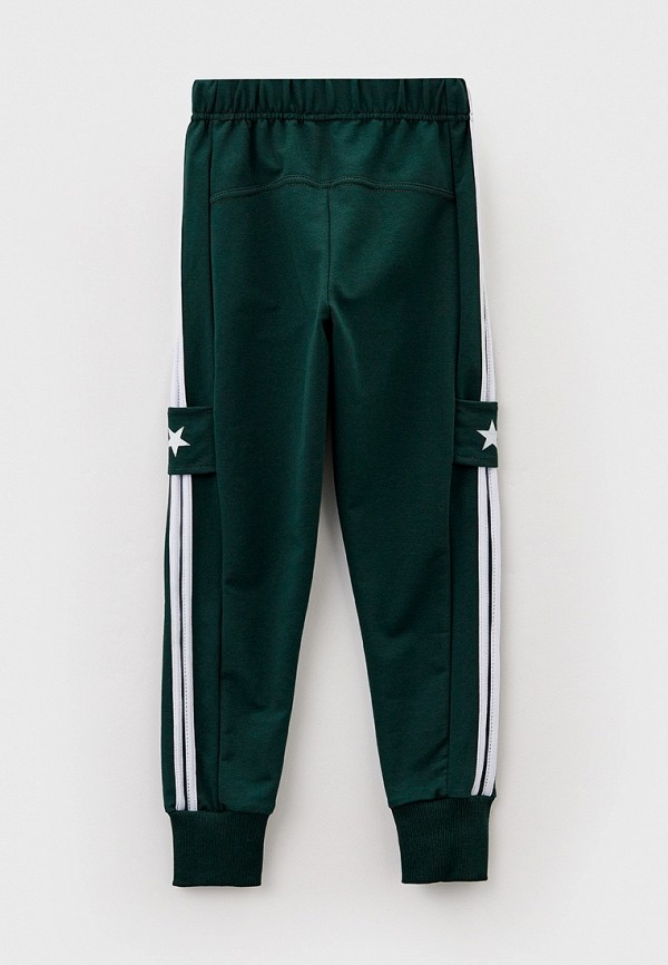 фото Брюки спортивные katasonov