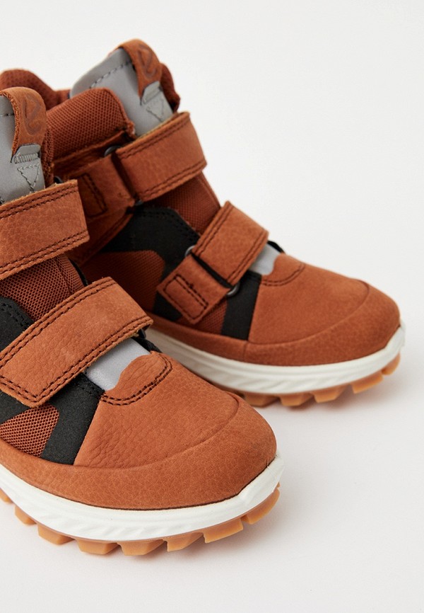 фото Ботинки ecco