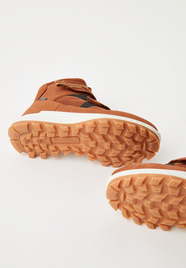 фото Ботинки ecco