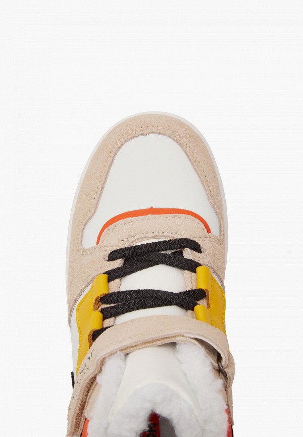 фото Кроссовки mascotte