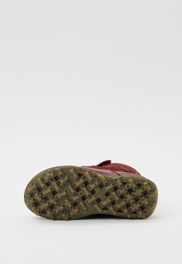 фото Ботинки ecco