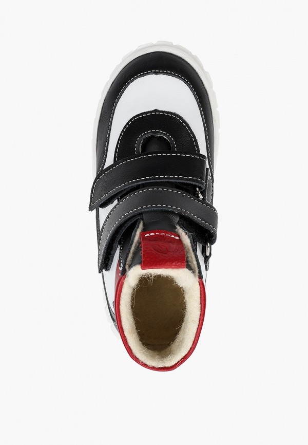 фото Ботинки tapiboo