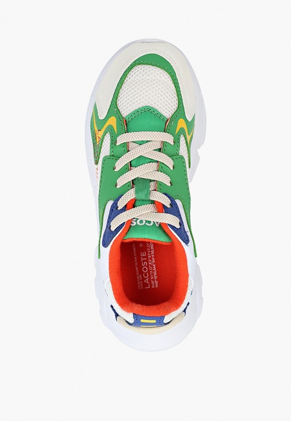 фото Кроссовки lacoste