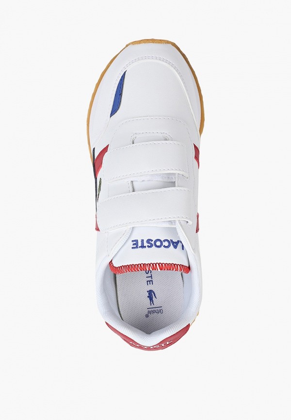 фото Кроссовки lacoste