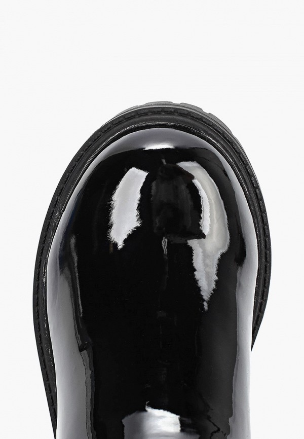 фото Сапоги t.taccardi