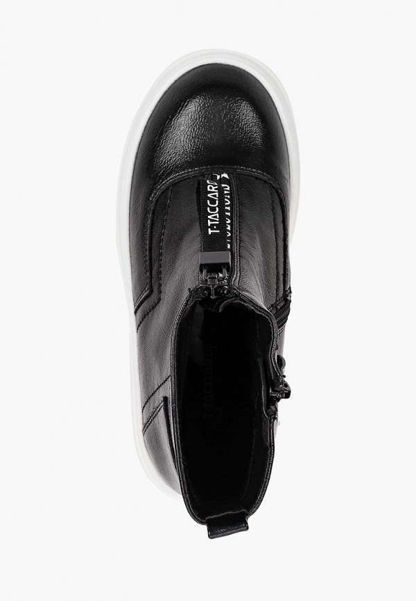 фото Кеды t.taccardi