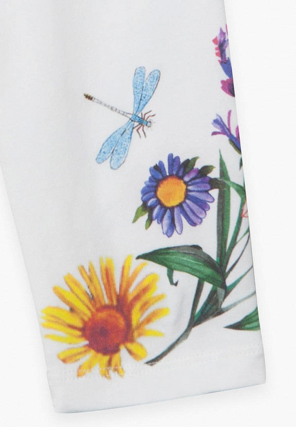 фото Капри bell bimbo