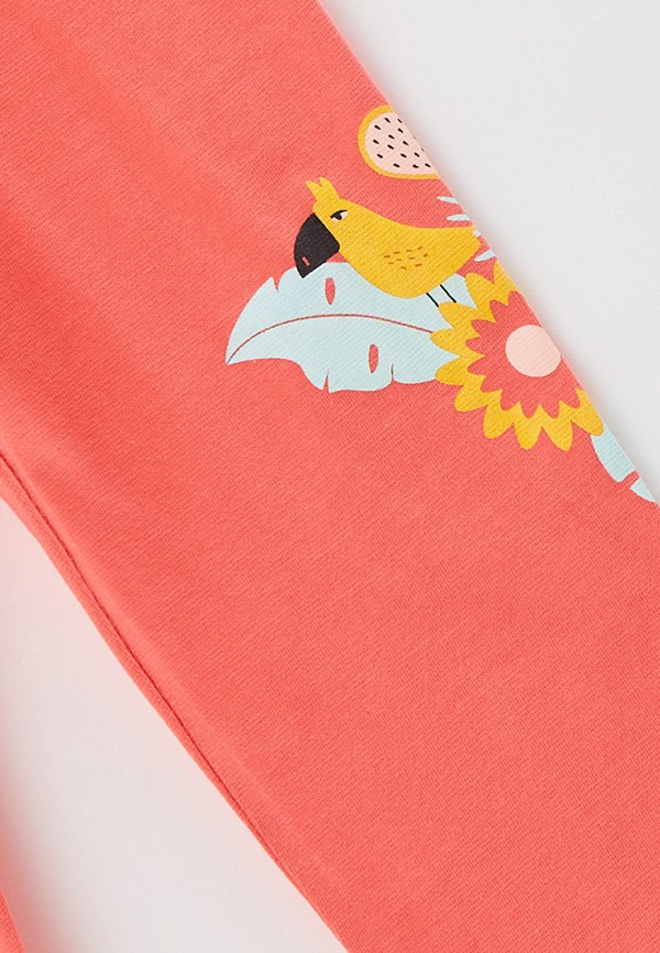 фото Леггинсы crockid