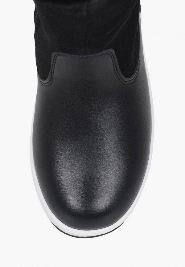 фото Сапоги t.taccardi