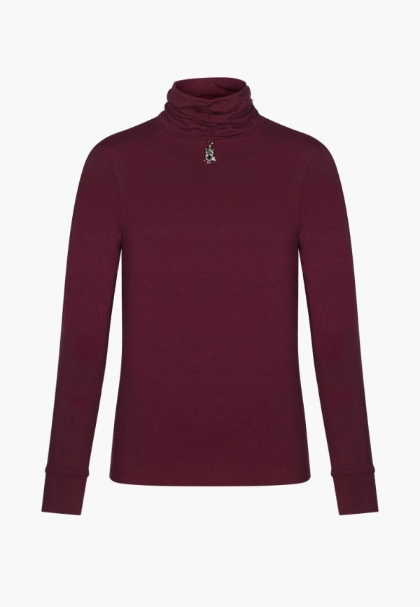 фото Водолазка stylish amadeo