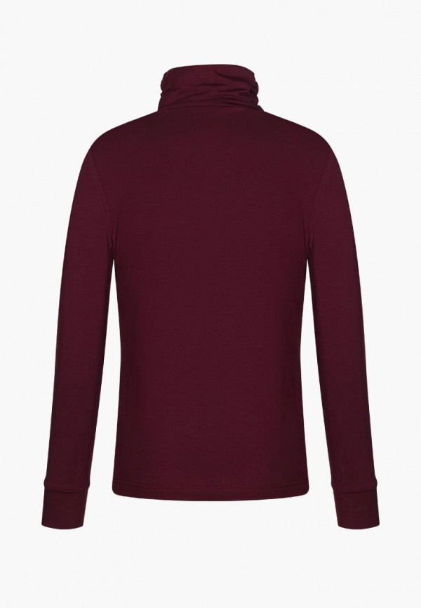 фото Водолазка stylish amadeo