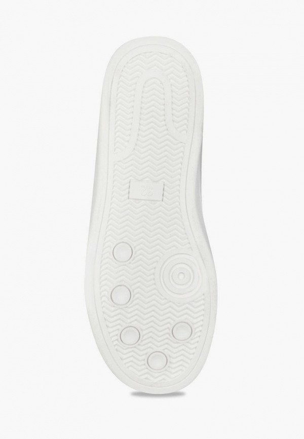 фото Кеды t.taccardi