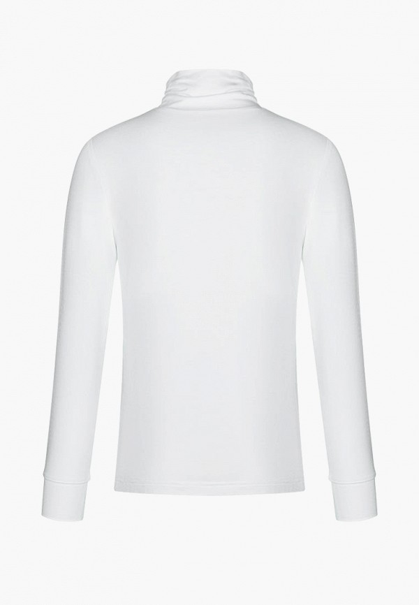 фото Водолазка stylish amadeo