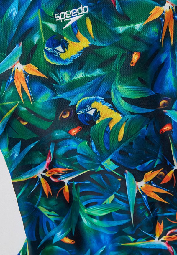 фото Купальник speedo