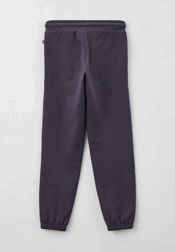 фото Брюки спортивные crockid