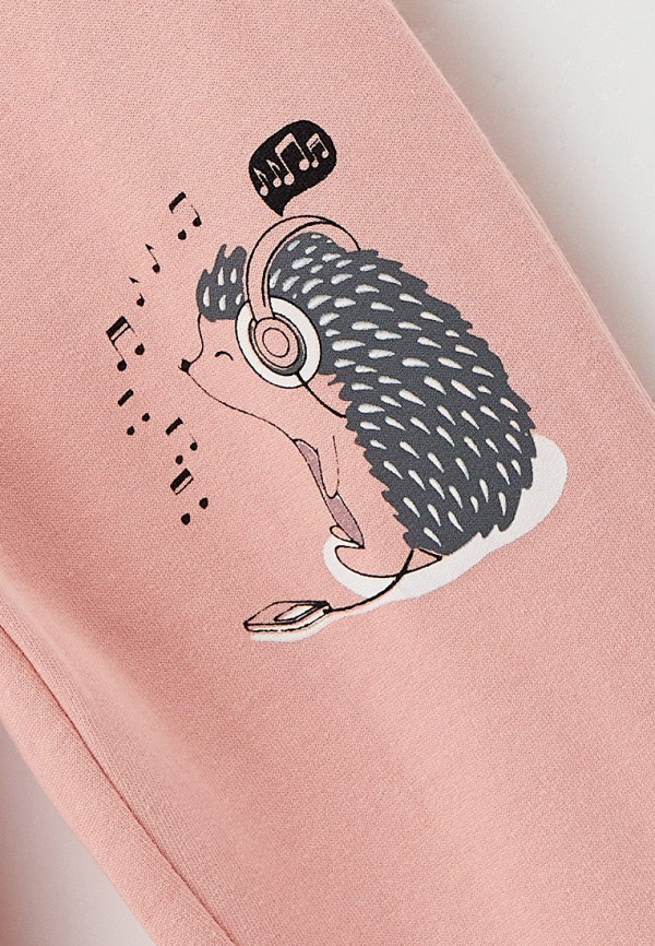 фото Брюки спортивные elementarno