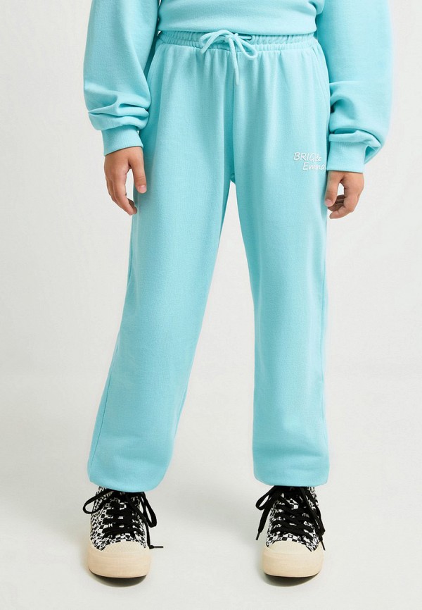 фото Брюки спортивные acoola