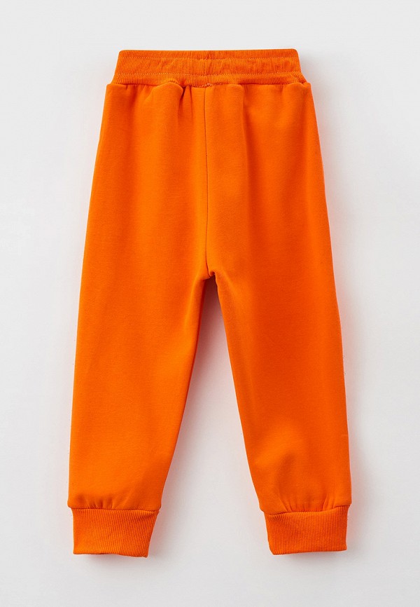 фото Брюки спортивные veresk