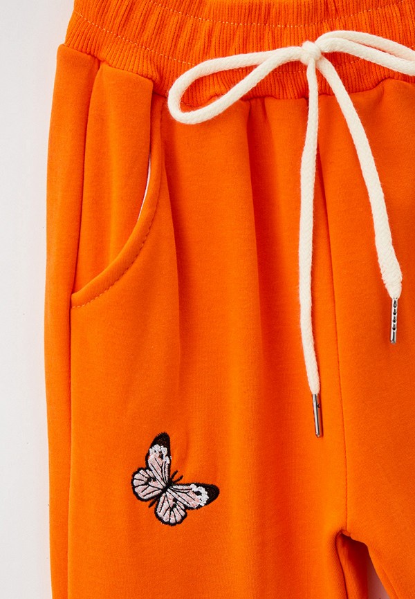 фото Брюки спортивные veresk