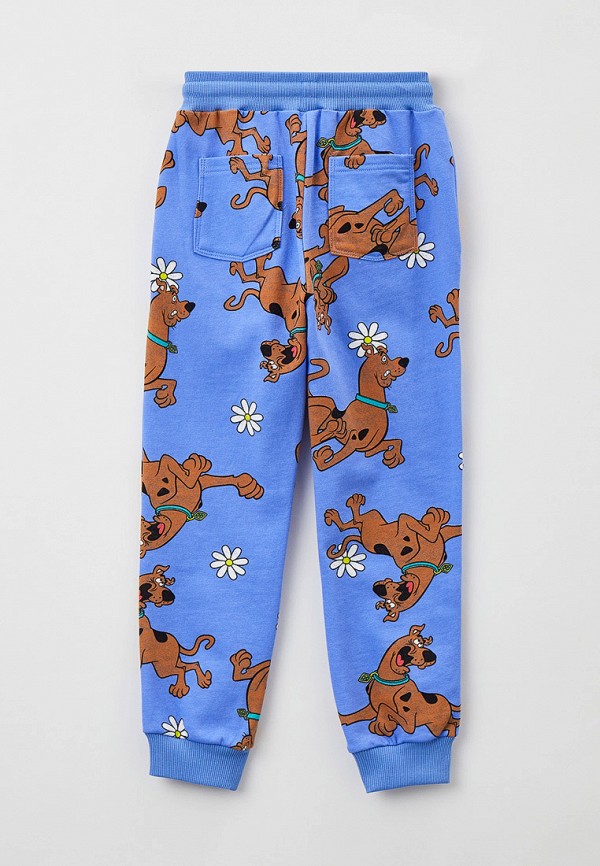 фото Брюки спортивные sela