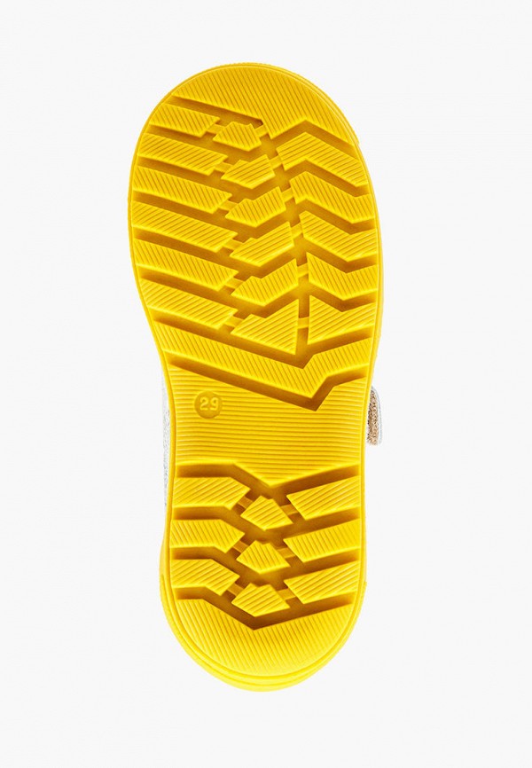 фото Кеды petasil