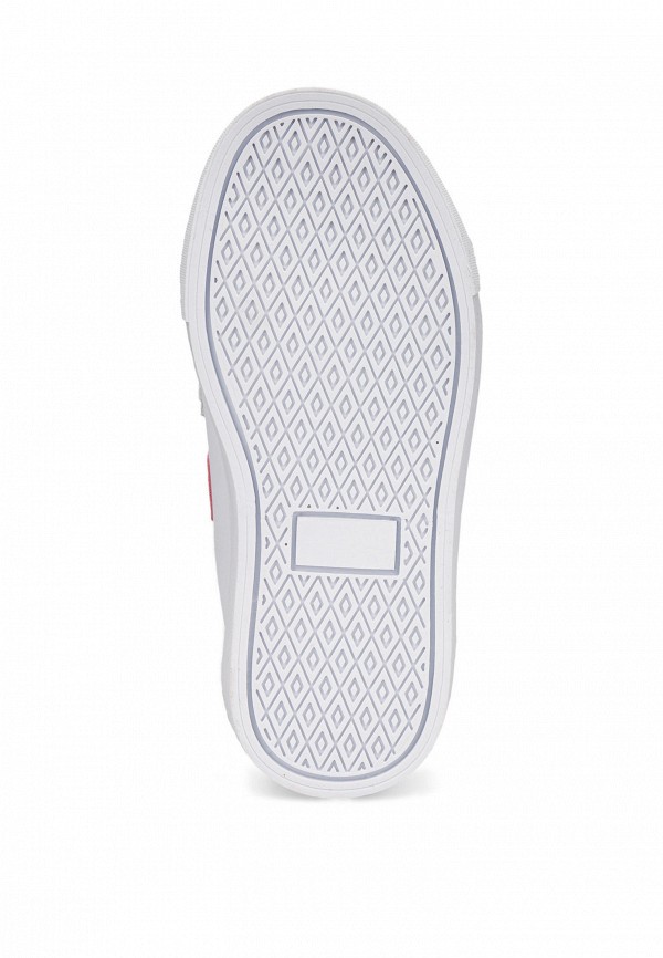 фото Кеды zenden first