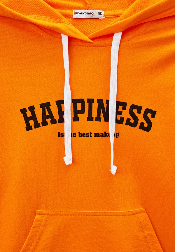 фото Худи elementarno