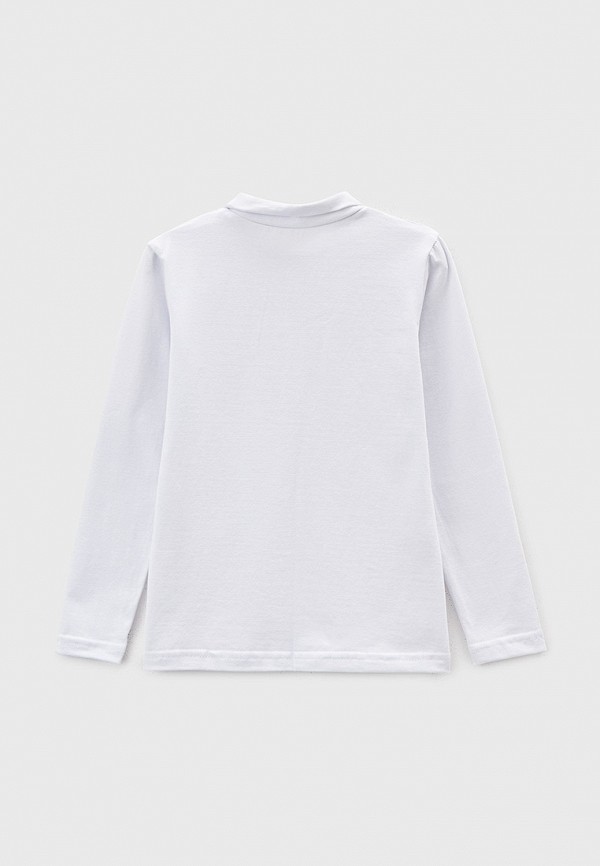 фото Водолазка katasonov