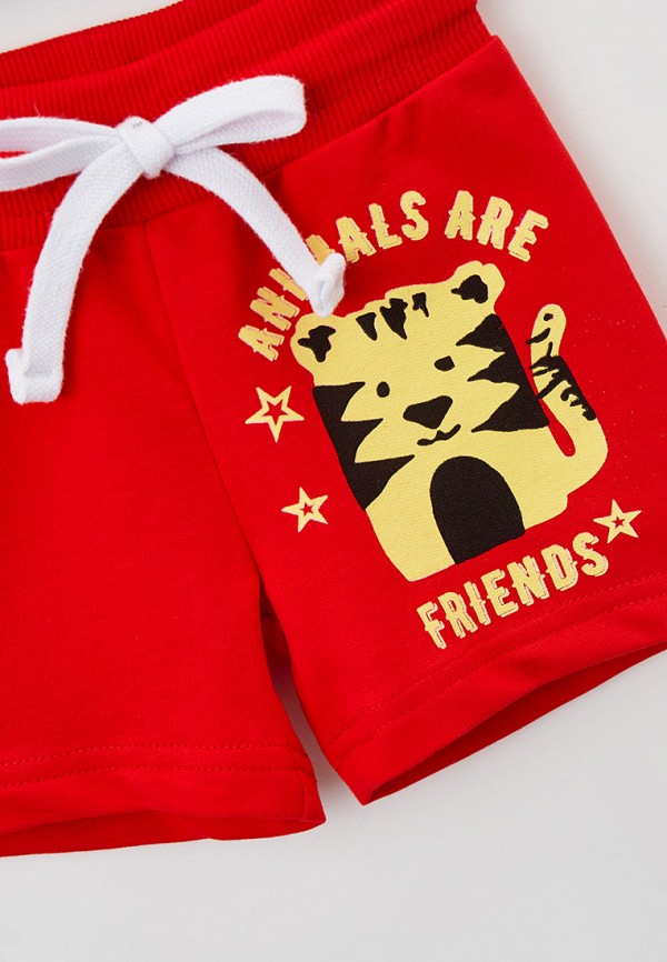 фото Шорты спортивные elementarno