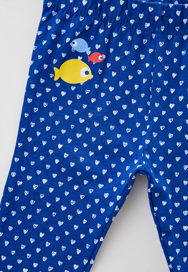 фото Леггинсы щеголенок