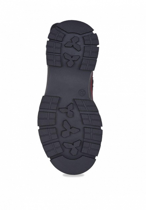 фото Сапоги t.taccardi