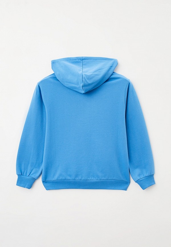 фото Худи elementarno