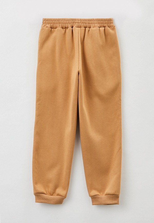 фото Брюки спортивные acoola