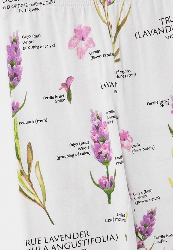 фото Леггинсы 2 шт. playtoday