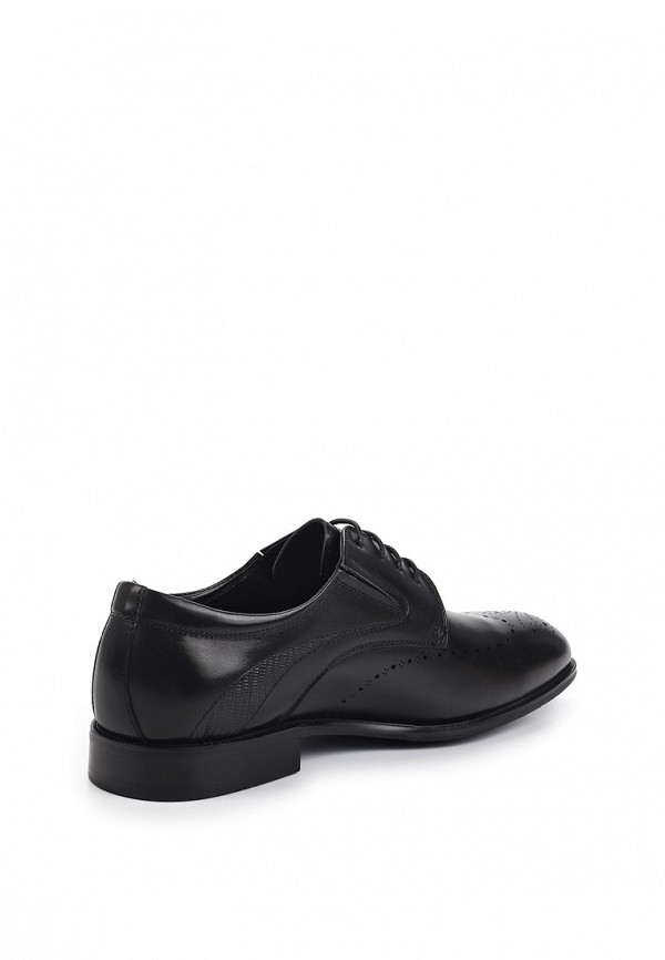 фото Туфли basconi