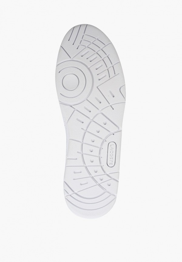 фото Кеды lacoste