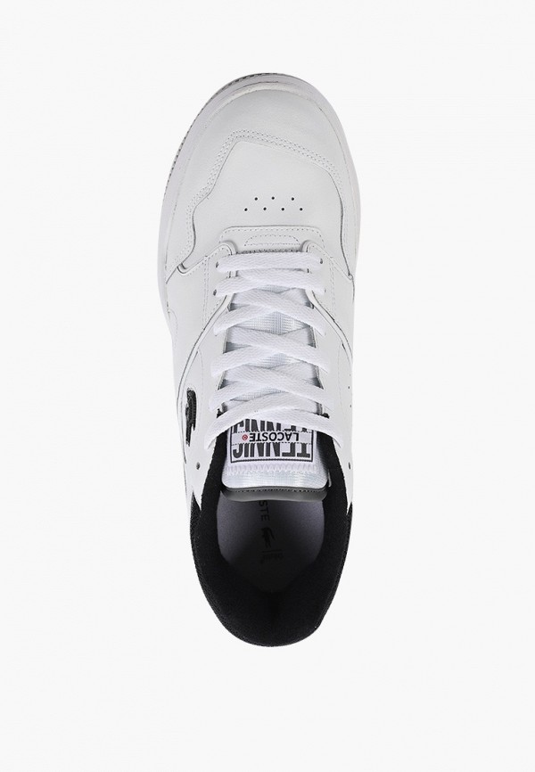 фото Кеды lacoste