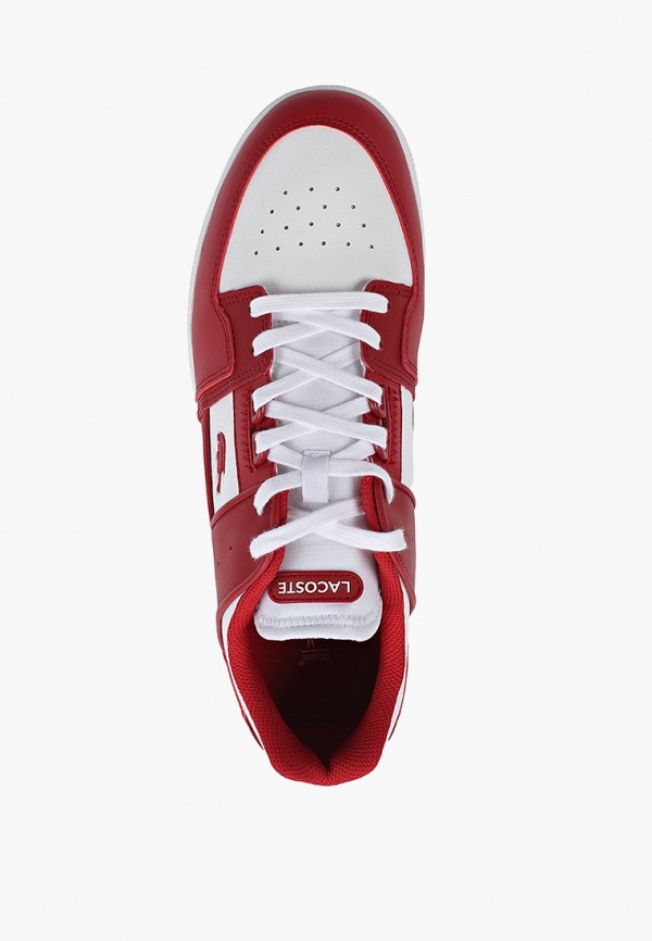 фото Кеды lacoste