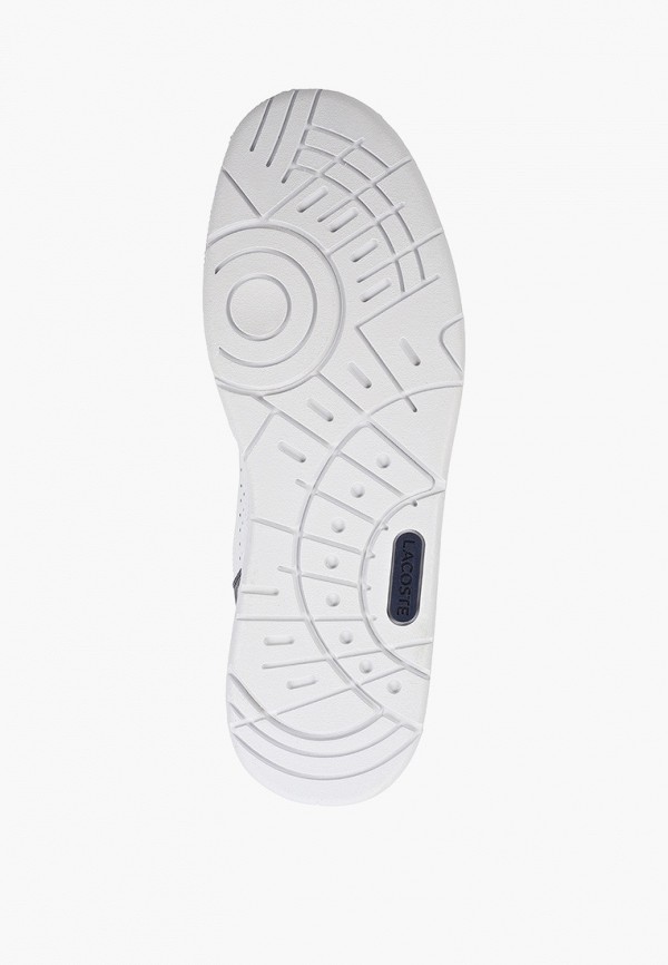 фото Кеды lacoste