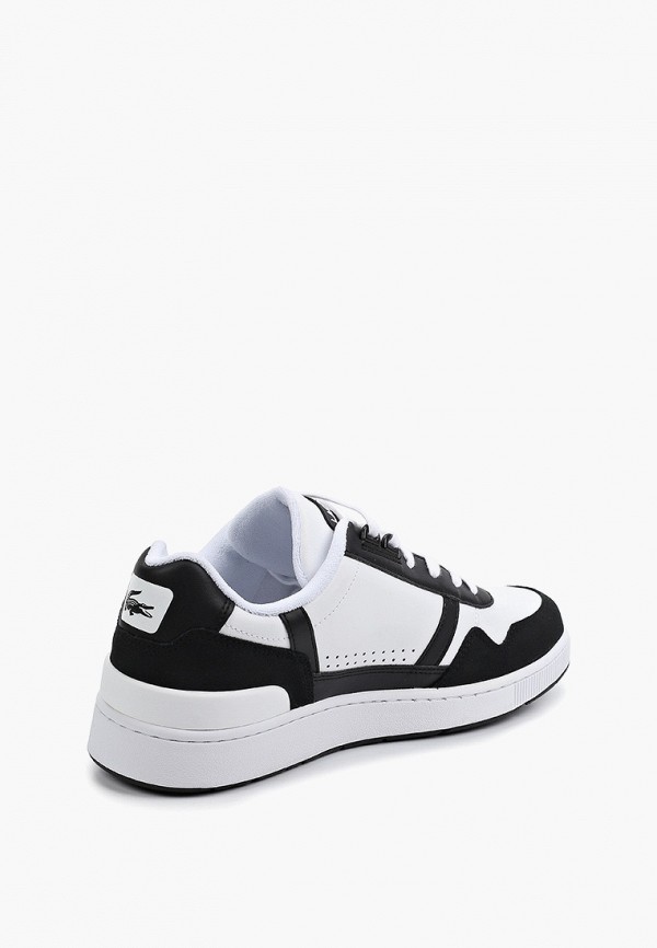 фото Кеды lacoste