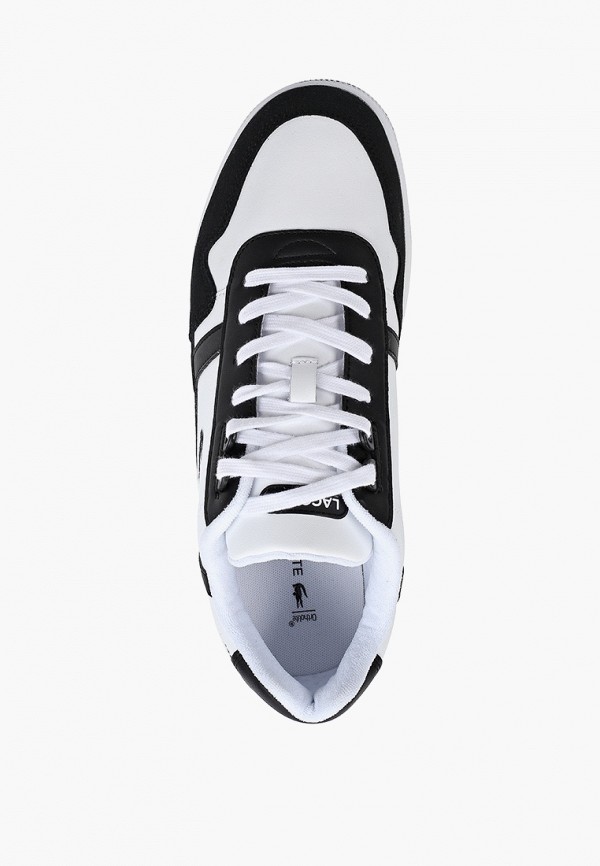 фото Кеды lacoste