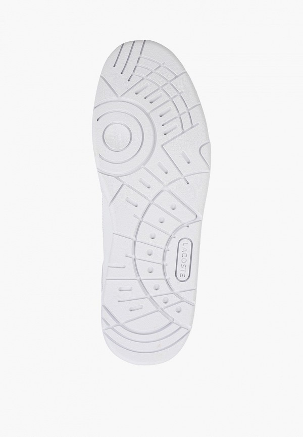 фото Кеды lacoste