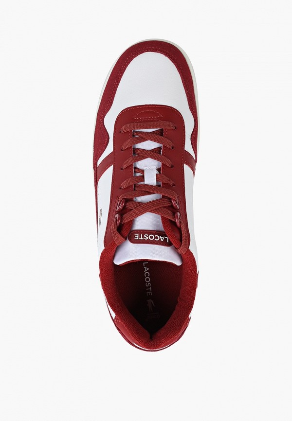 фото Кеды lacoste